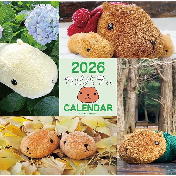 Amazon.co.jp: カピバラさんのまいにち : チダ ケイコ, TRYWORKS